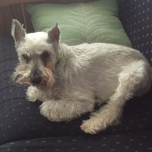 Meet your Posher, Kathryn